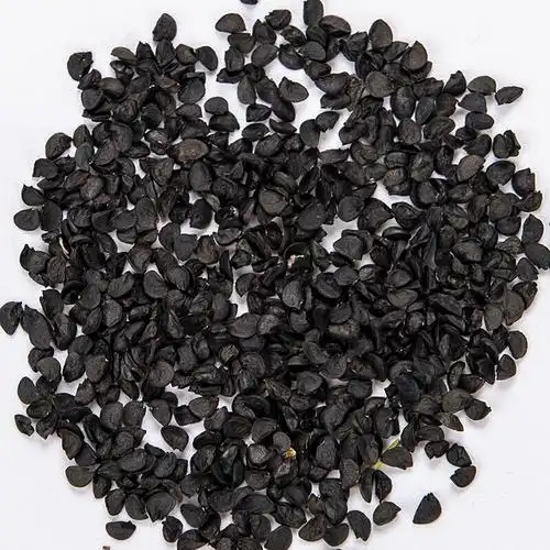 花沃里 hwl-3140 四季小香葱种子 500粒/袋