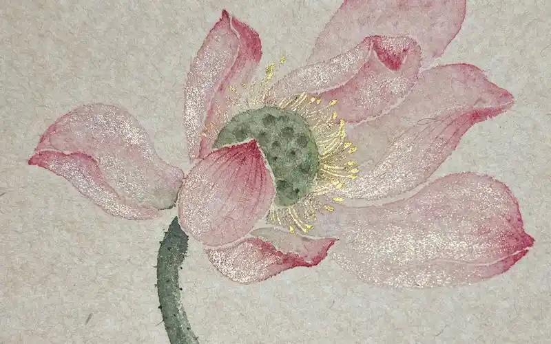 闪闪发光的金莲 没骨荷花过程