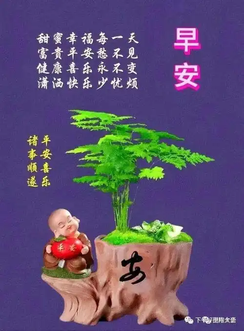 微信最美的早上好祝福语|清晨|早安_网易订阅