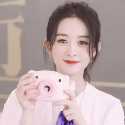 知否赵丽颖头像