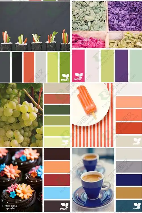 ps配色方案素材色彩搭配色版色卡春夏秋冬动植物设计素材