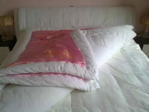 丝绸棉被图片欣赏