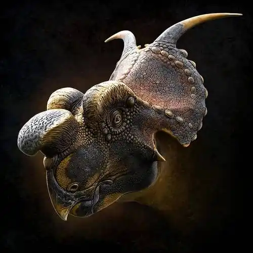 华丽的角龙(二)_颈盾_龙的_杜莎