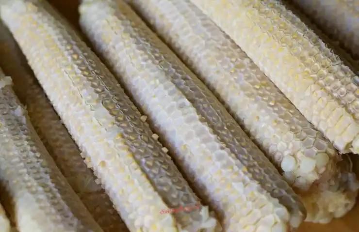 来自越南的干玉米芯