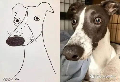 她画的沙雕狗简直有毒居然深藏25年画工去涂鸦作者我太难了