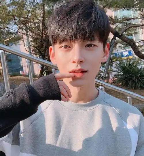 小奶狗男士发型