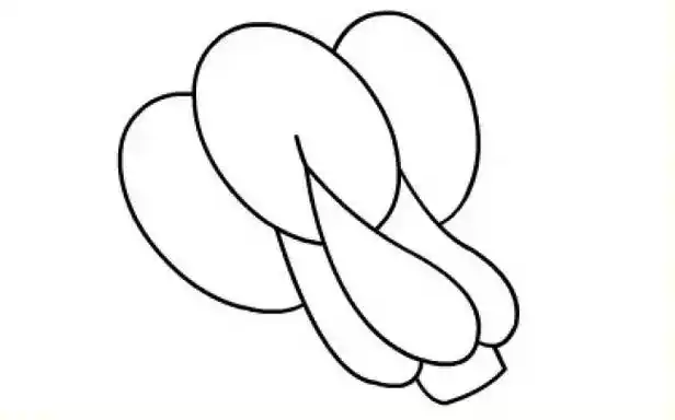 大白菜简笔画的画法白菜怎么画白菜的卡通画儿童画白描收回教程