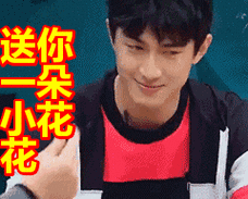 送你一朵小花花表情包动态gif表情图片 - 找表情上表情家