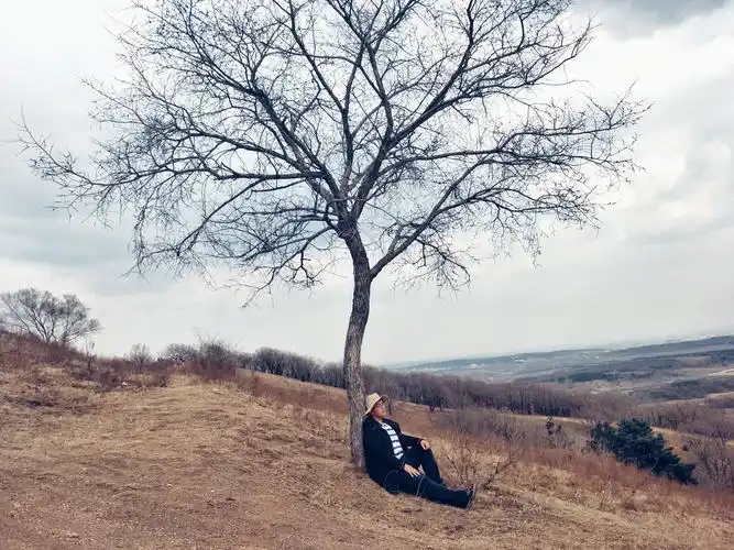 一座山一棵树一个人