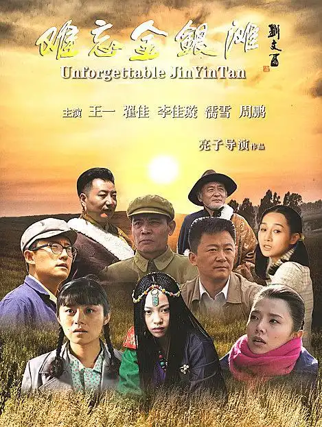 难忘金银滩的海报