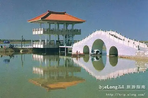 金水园西临黄河,背靠毛乌素沙地,是游黄河,观大漠