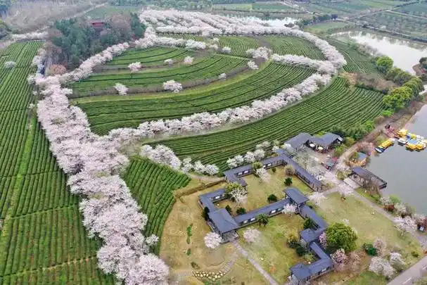 这是位于江西省南昌县的凤凰沟景区(3月16日摄,无人机照片).
