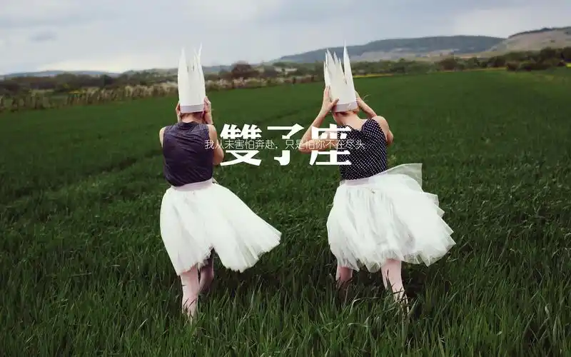 唯美双子座文字图片