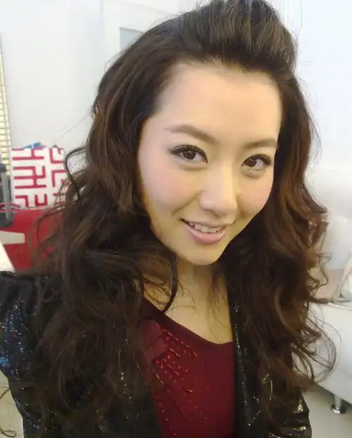 白冰个人资料简介(曾经的京城四美今已过气) - 扬帆号