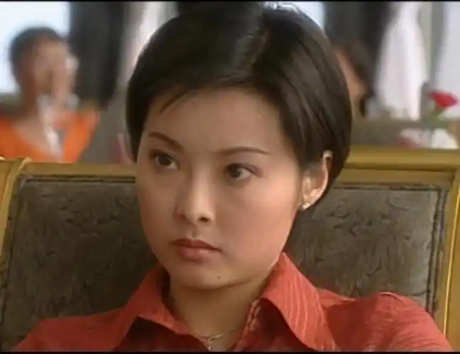 帮助,在自身的不断努力下,终于在《永不瞑目》中欧阳兰兰一角中走红