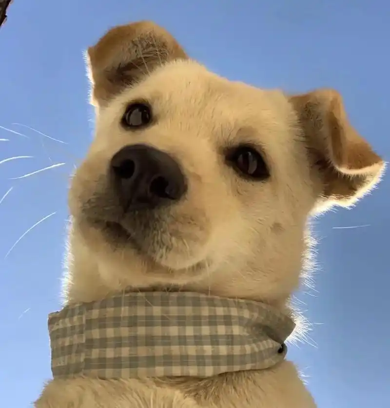 这才是大佬专用#送你一个头像 #优质头像 #优质男头 - 抖音