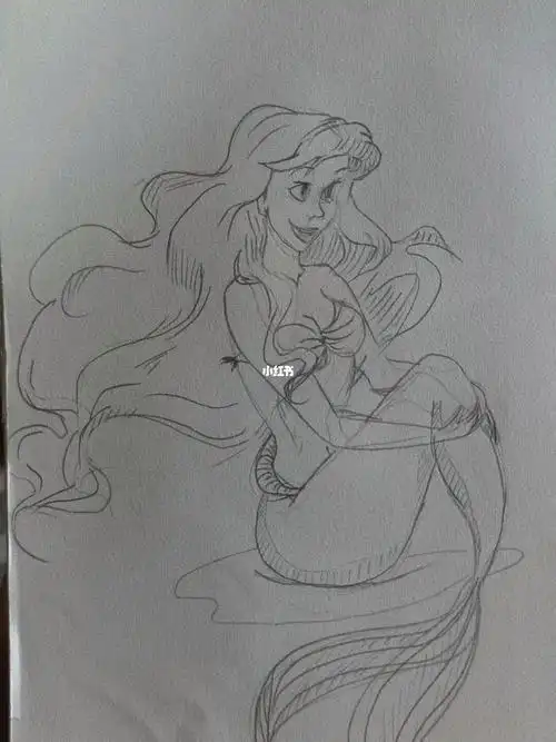 临摹打卡第一天爱丽儿公主