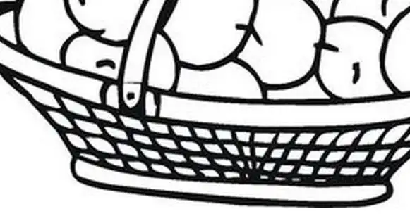 今天先和学习啦小编一起欣赏这些装水果的篮子 简笔画图片希望你会有