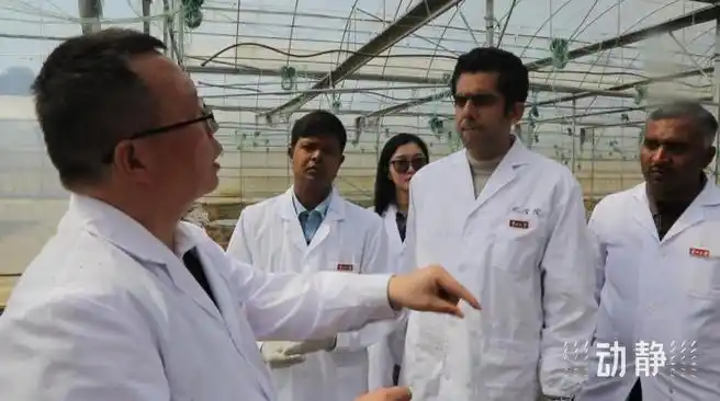 洋学生当起博士村长反哺家乡农业发展