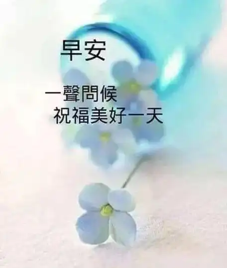 早安心灵鸡汤励志语录 早上好最新漂亮图片 早安图片 早安问候语