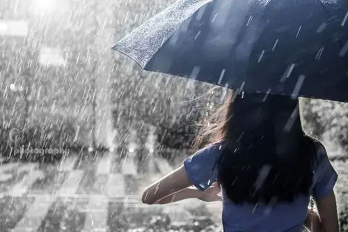 摄影 下雨天 写美篇那天本来是想去拍花的,可是我