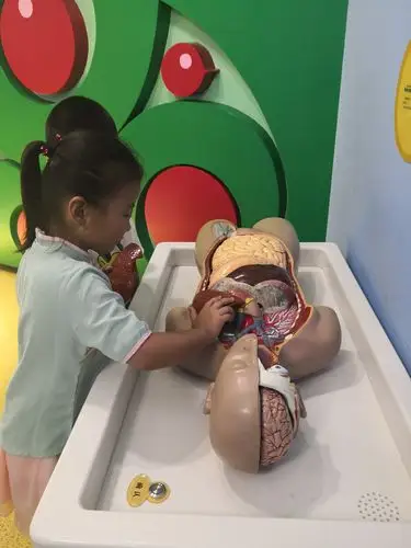 我叫宋嘉冉,来自华侨实验学校碧桂园分校一年级二班的小朋友,欢迎大家