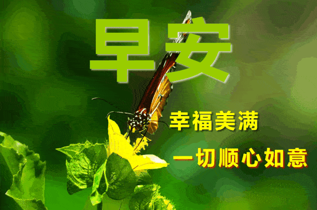 早安2021最新正能量战友早上好图片最新图片