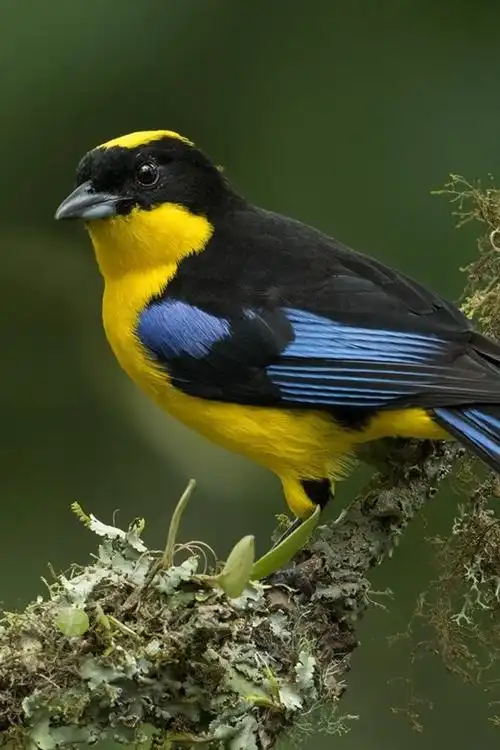 640x960 (iphone 4/4s)