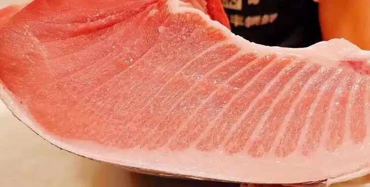 日本蓝旗金枪鱼新鲜刺身肥大腹大腩中中腹肉红金枪鱼