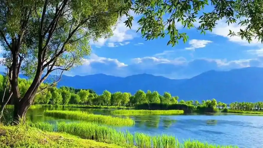 悠悠夏日,漫漫清风