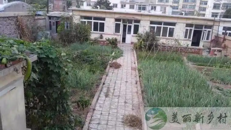 辽宁兴城市平房小院出租-兴城市农村房屋院子小院出租-美丽新乡村农房