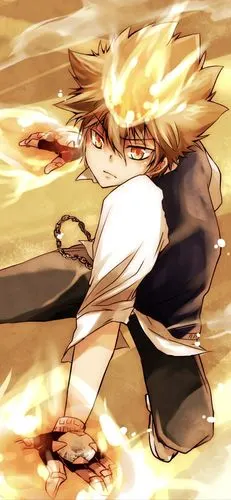 壁纸日漫家庭教师之泽田纲吉专题精