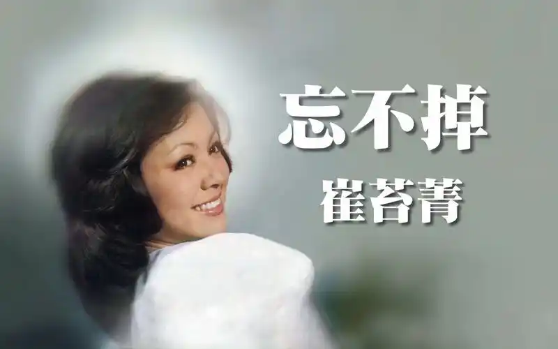 崔苔菁 - 忘不掉 (1975年)