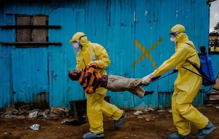 埃博拉为什么叫僵尸病毒(埃博拉内脏融成血水真的吗)