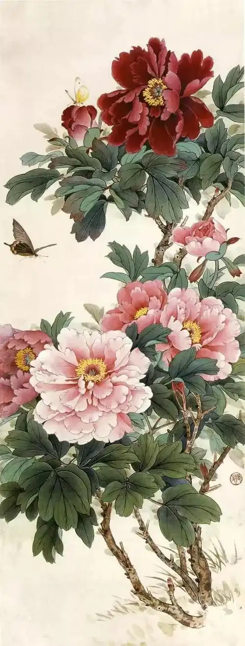 精选工笔牡丹40张美到窒息