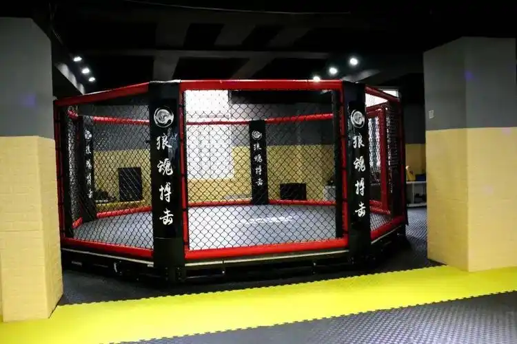 限时抢购28元抢宁国狼魂俱乐部暑假班价值680元抵用券