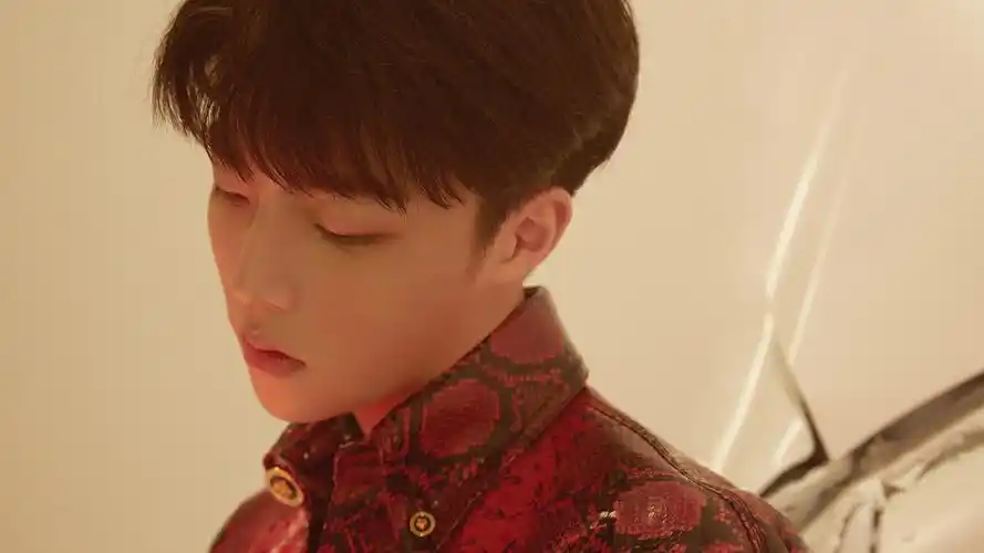 陈立农帅气前卫写真桌面壁纸壁纸