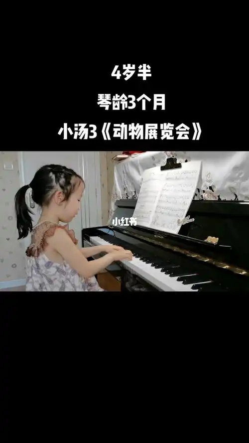 小汤3动物展览会