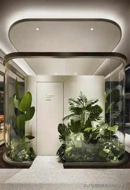 50张室内景观造景图片