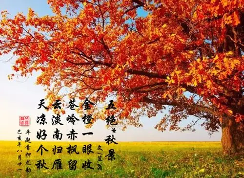 【秋之韵·精选绝句】【温馨诗社】社课十