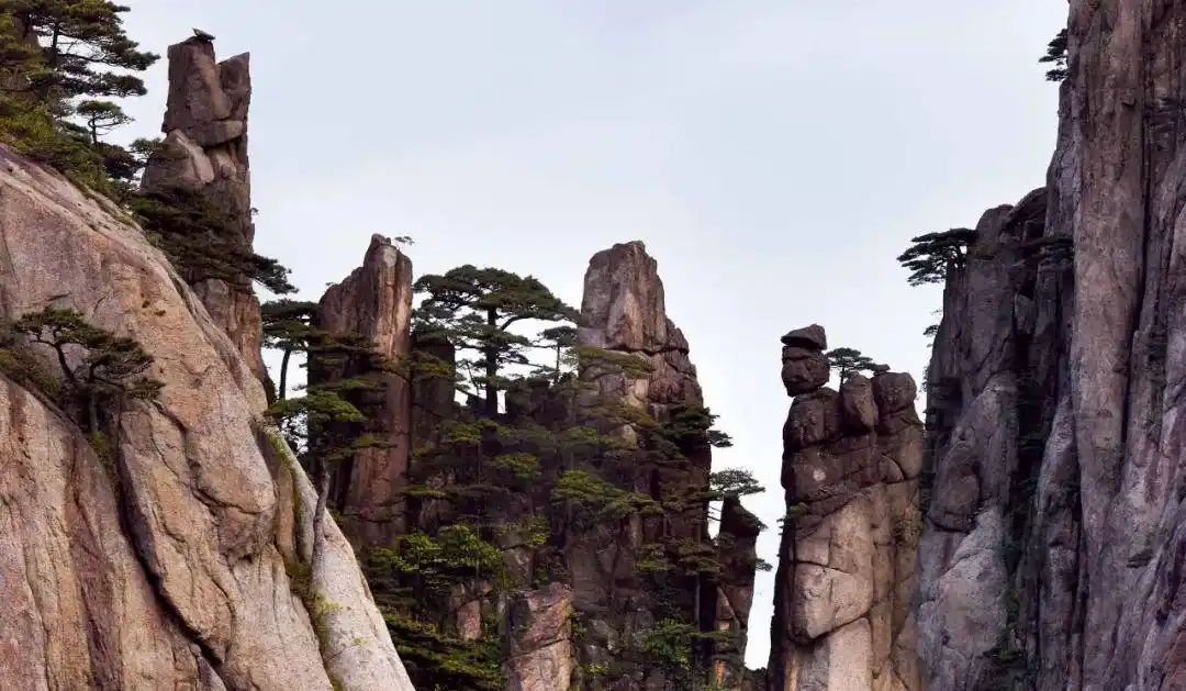 黄山世界文化与自然双重遗产