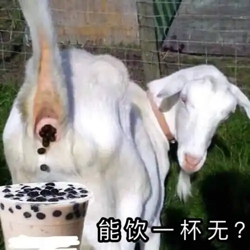 能饮一杯无珍珠奶茶羊粑粑羊粑珍珠奶茶一杯表情