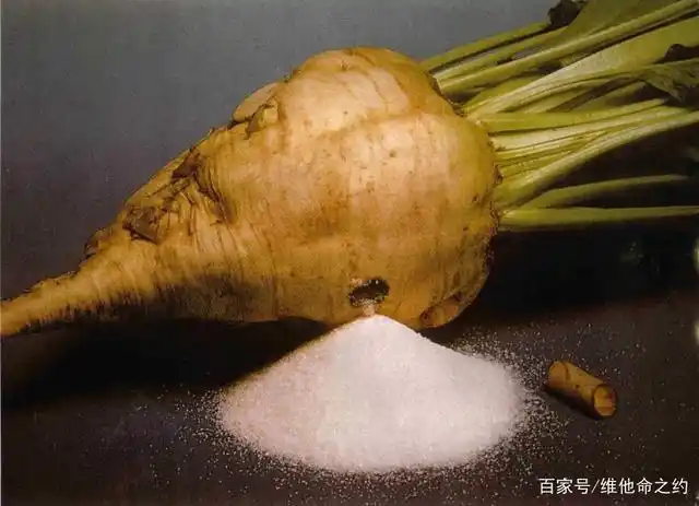 红糖白糖的原料,甜菜