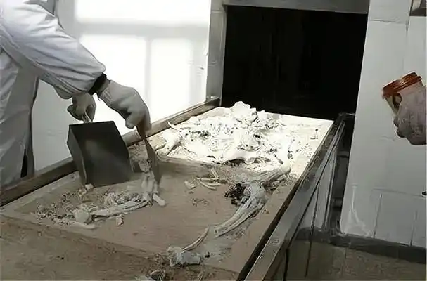 人被火化以后,家属得到的骨灰是什么?舍利子又是什么?