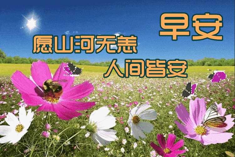 早上好表情包,有朋友才快乐,有健康才幸福!