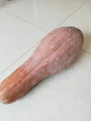 这是一张关于蜜本南瓜 6~10斤 长条形的产品图片