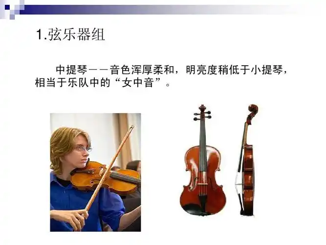 弦乐器组 中提琴--音色浑厚柔和,明亮度稍低于小提琴, 相当于乐队中的