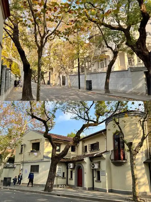 上海秋天的武康路