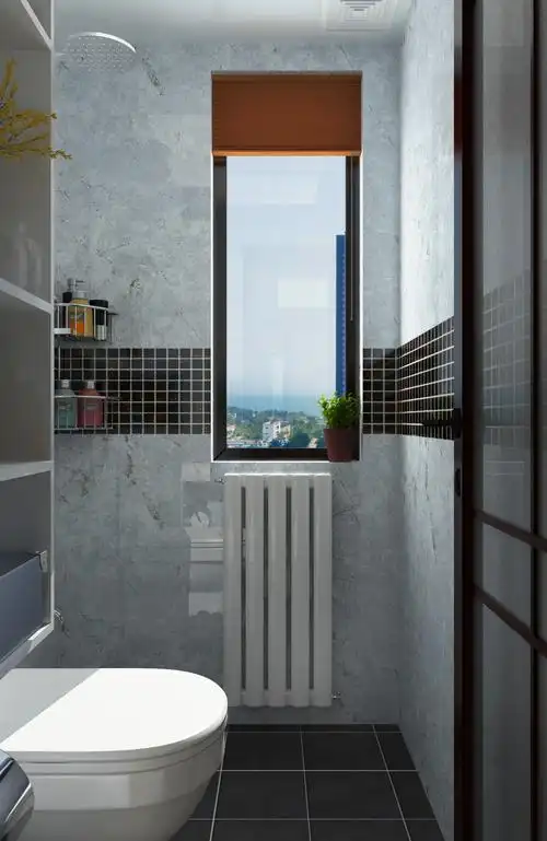 标签大全卫生间墙装修效果图