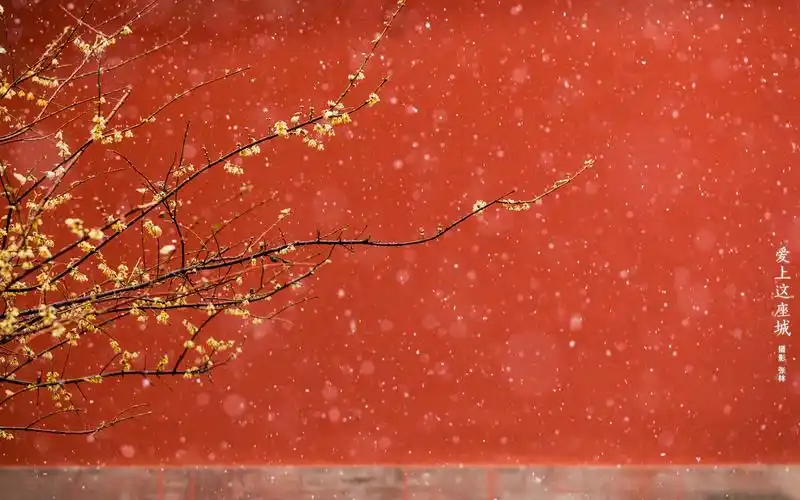 关于故宫的高清壁纸令人惊艳的红色